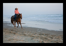 Central Coast Horse Boarding and Training San Luis Obispo