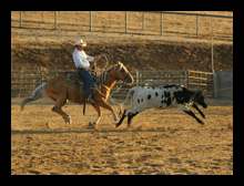 Roping chutes available