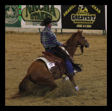 Horse Boarding and Training San Luis Obispo CA near Cal Poly